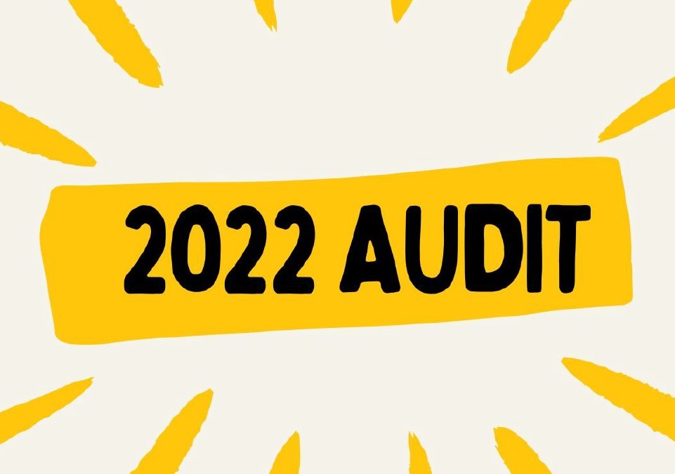 2022 Audit